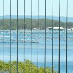 Montgomery Apartments - Events Australia 1