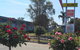 Motel Dimboola - thumb 2
