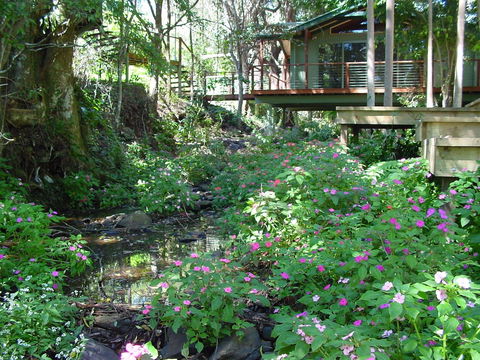 Treetops Accommodation Montville - Tourism Bookings 4