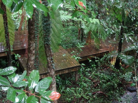 Treetops Accommodation Montville - Tourism Bookings 1