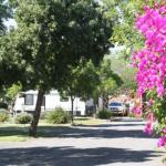 BIG 4 Hay - Events Australia 0