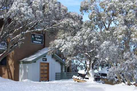 Alpine Retreat Mt Buller - Tourism Bookings 1