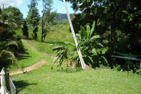 Daintree Village Hideaway - Events Australia 5