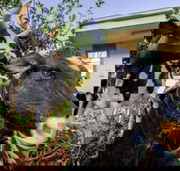 Big4 Shepparton Park Lane - Tourism Bookings