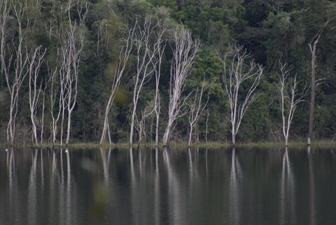 Mary Valley Views B + B - Events Australia 4