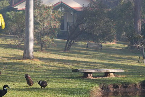 Telegraph Retreat Cottages - Events Australia 6