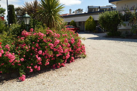 Wattle Grove Motel Maryborough - Tourism Bookings 4