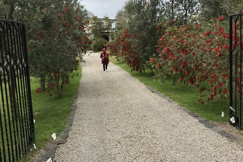 Harmony Bed & Breakfast - Events Australia 2