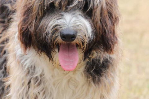 Harmony Bed & Breakfast - Events Australia 3