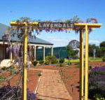 Lavendale Farmstay  Cottages York - Tourism Bookings