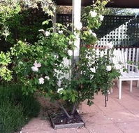 Ellesmere House - Events Australia