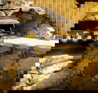 Coral Sea Vista Apartments - Events Australia