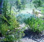 Old Miners Cottages Bed  Breakfast