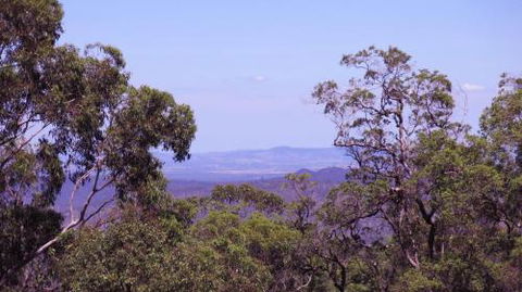 Ravensbourne Escape Cedar Lodge - Events Australia 5