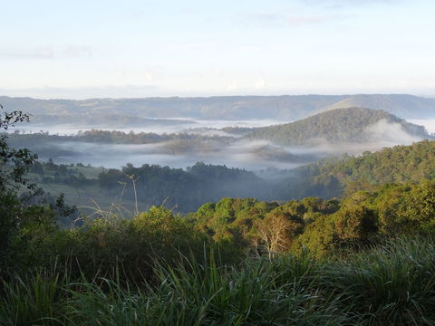 Maleny Luxury Cottages - Accommodation Europe 5