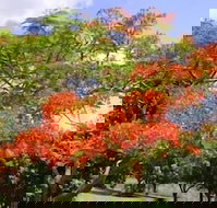 Eastwood Farm - Events Australia