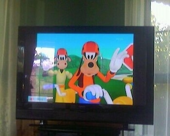 Abelia Cottage Of Daylesford Botanical - Events Australia 2