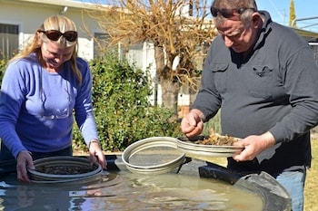 Fossicker Caravan Park - Events Australia 1