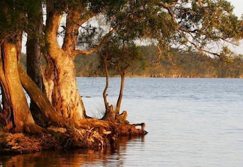 NRMA Myall Shores Holiday Park - Events Australia 2