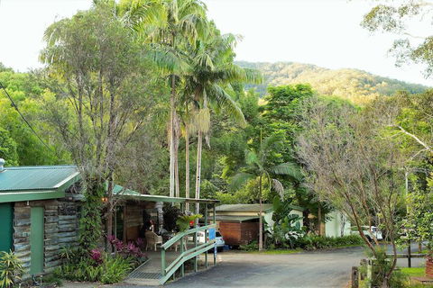 Mt Warning Rainforest Park - Tourism Bookings 2