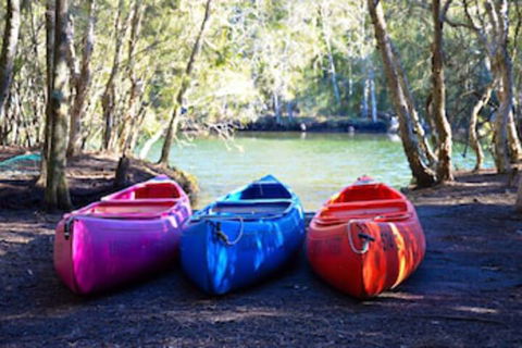 Jervis Bay Cabins & Hidden Creek Campsite - Tourism Bookings 0