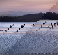 Tallebudgera Creek Tourist Park - Accommodation Europe