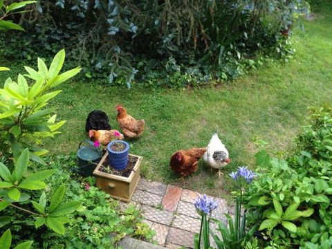 Southdown Cottage - Tourism Bookings 3