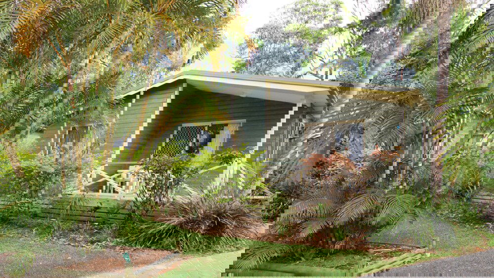 Arrawarra NSW Tourism Bookings