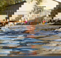 Riverside Cabin Park - Tourism Bookings