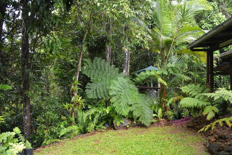 Tropical Bliss Bed & Breakfast - Tourism Bookings 6