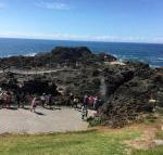 Sea Whispers - Events Australia