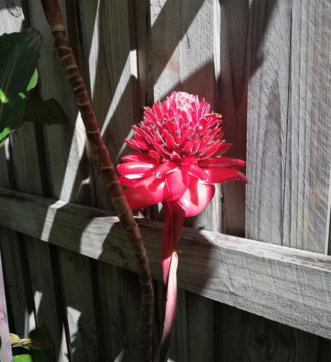 Latania Luxury Villas - Events Australia 0