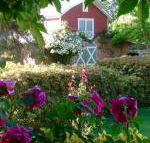 A Country Barn Retreat - Tourism Bookings