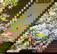 Apple Blossom Cottage - Events Australia