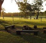 Wallaby Cottage cute Accom in bushland setting - Tourism Bookings