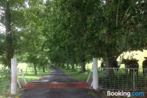 Whispers At Cedar Grove - Events Australia 7