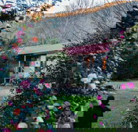 Mystic View Cottage Wandiligong - Tourism Bookings