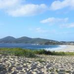 Forster NSW Tourism Bookings