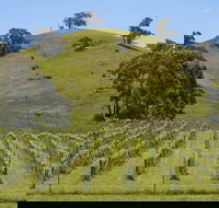 Blue House at Mountainside Wines - Tourism Bookings