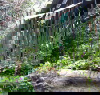 Lemonade Creek Cottages - Events Australia