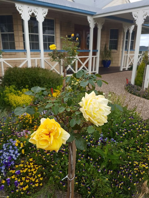 Grovely House Bed & Breakfast - Events Australia 3