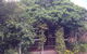 Ti-Tree Village - thumb 6