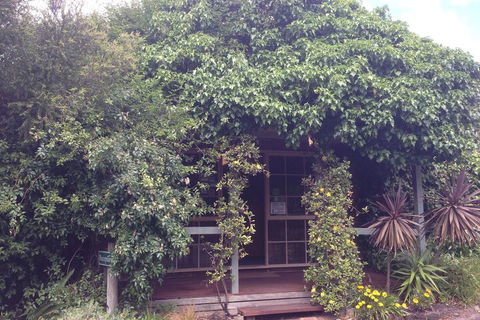 Ti-Tree Village - Tourism Bookings 6