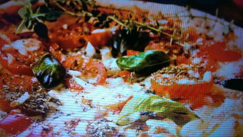 Alfio's Pizzeria - Accommodation Europe 0