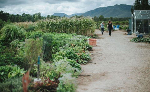 Delicado Foods & Wines - Events Australia 6