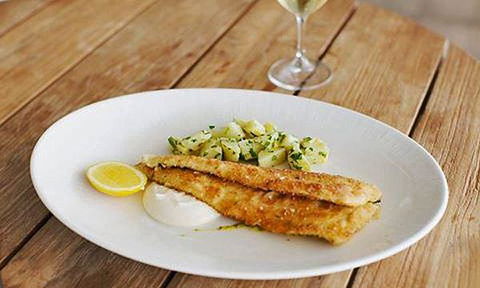 Pinotta - Events Australia 14