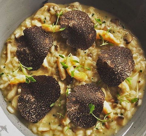 Pinotta - Events Australia 15