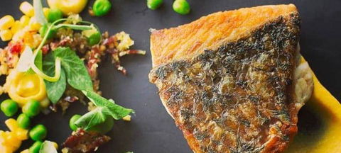 Pinotta - Events Australia 1