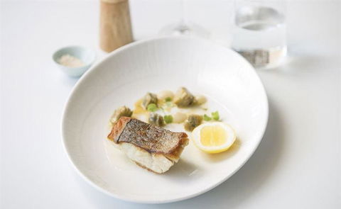 Pinotta - Events Australia 23