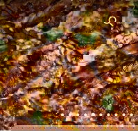 Pizza D'oh - Events Australia